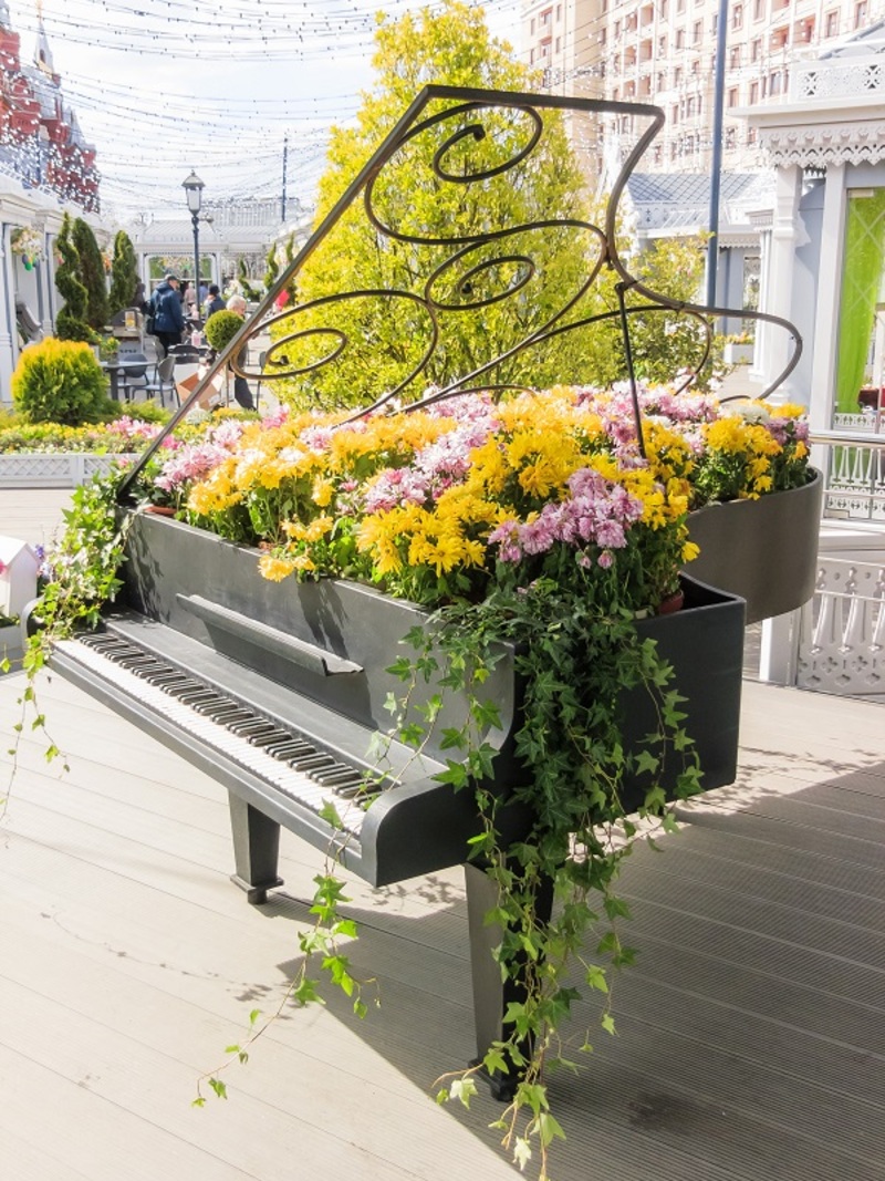 flowers florists