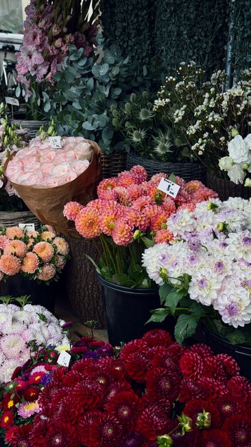 An assortment of fresh floral arrangements displayed at Wanstead Florist, featuring pink and peach-colored roses wrapped in brown paper, clusters of vibrant pink and orange dahlias in a black pot, and